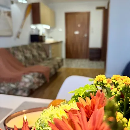 Al-dom Awangardia 207 Appartement